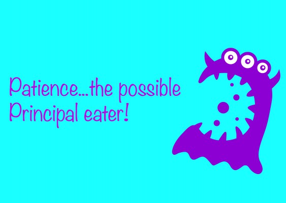 Patience, the possible Principal eater... Patience.jpg 563x400