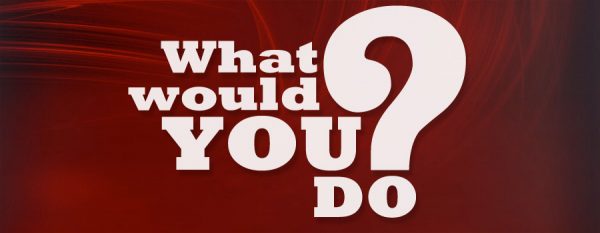 Key Art What Would You Do 600x233